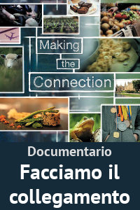 Copertina del video: Facciamo il collegamento