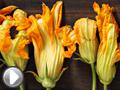 Video Fiori di zucca fritti alla birra 