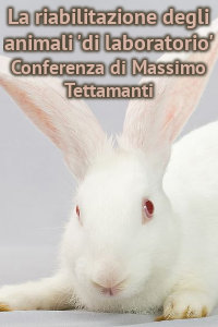 Copertina del video: La riabilitazione degli animali 'di laboratorio'