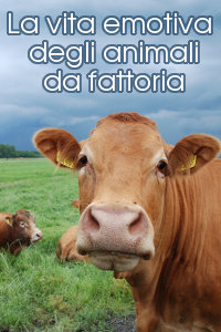Copertina del video: La vita emotiva degli animali da fattoria